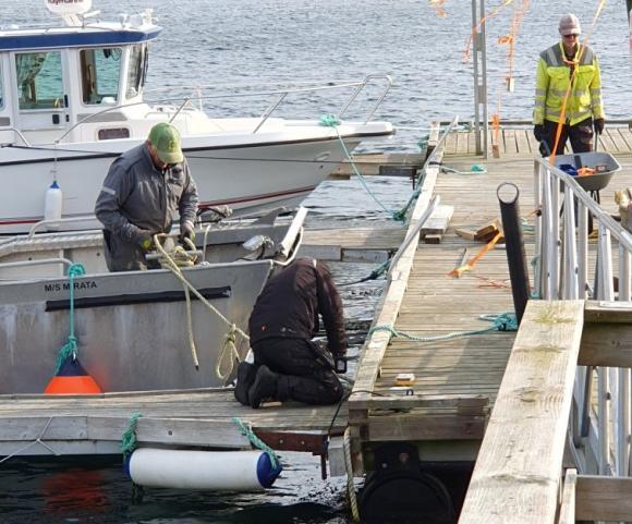 Skifte av hengsler på flytebrygga.